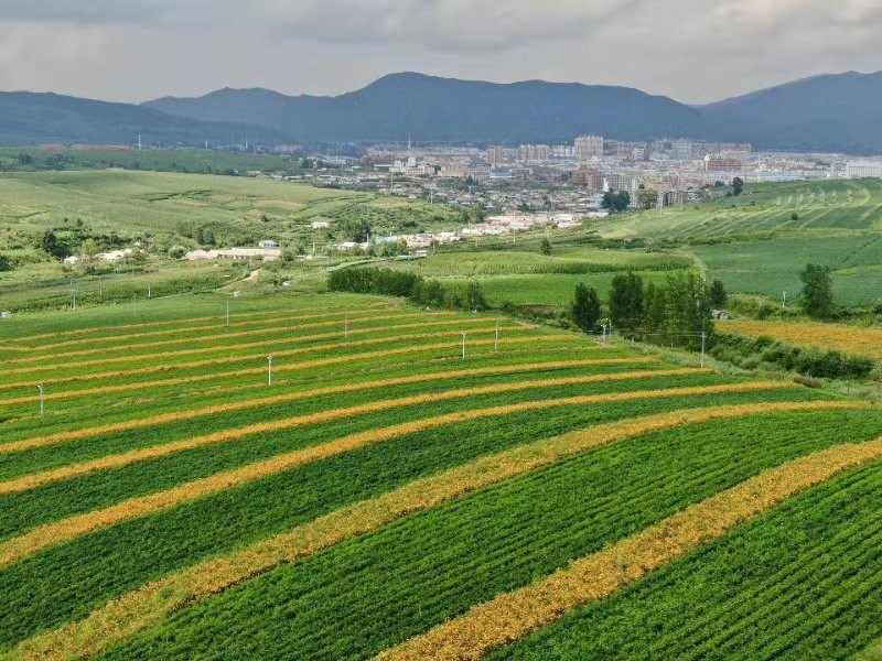 圖們江廣場,日光山花海,琿春口岸.看中俄攝影家眼中的美麗延邊